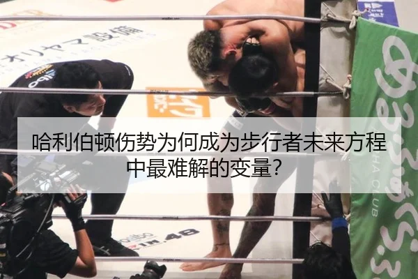 哈利伯顿伤势为何成为步行者未来方程中最难解的变量？
